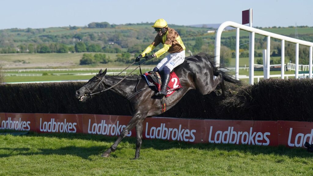 Punchestown: Galopin Des Champs romps to 12th Grade 1 crown for Willie Mullins | Racing News