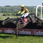 Punchestown: Galopin Des Champs romps to 12th Grade 1 crown for Willie Mullins | Racing News