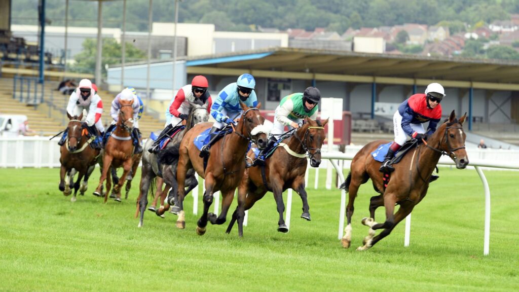 Today on Sky Sports Racing: Action from Newton Abbot and Wolverhampton live on Saturday | Racing News