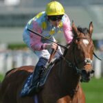 Yashin: Michael Bell eyeing Ascot Gold Cup glory with Sagaro Stakes winner on Royal Ascot Trials Day | Racing News