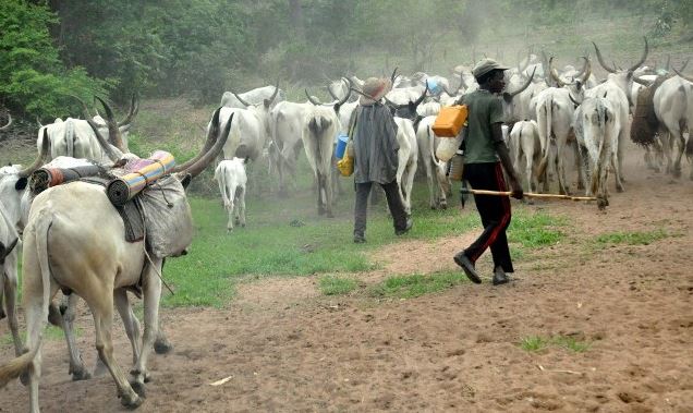 Armed Herdsmen Occupy Two-Thirds Of Benue State – Traditional Ruler Cries Out