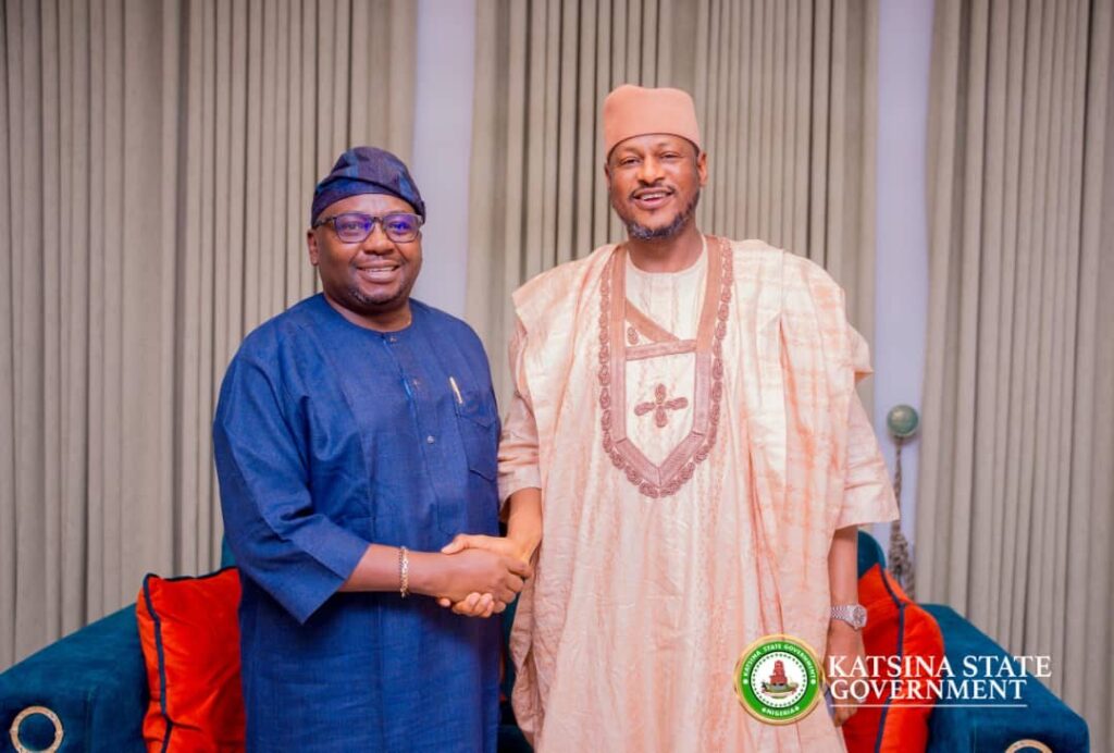 Gov Radda meets Minister of Power to discuss renewable energy collaboration