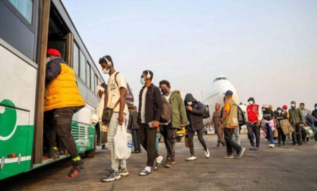 FG discontinues BEA scheme to prioritise domestic scholarships