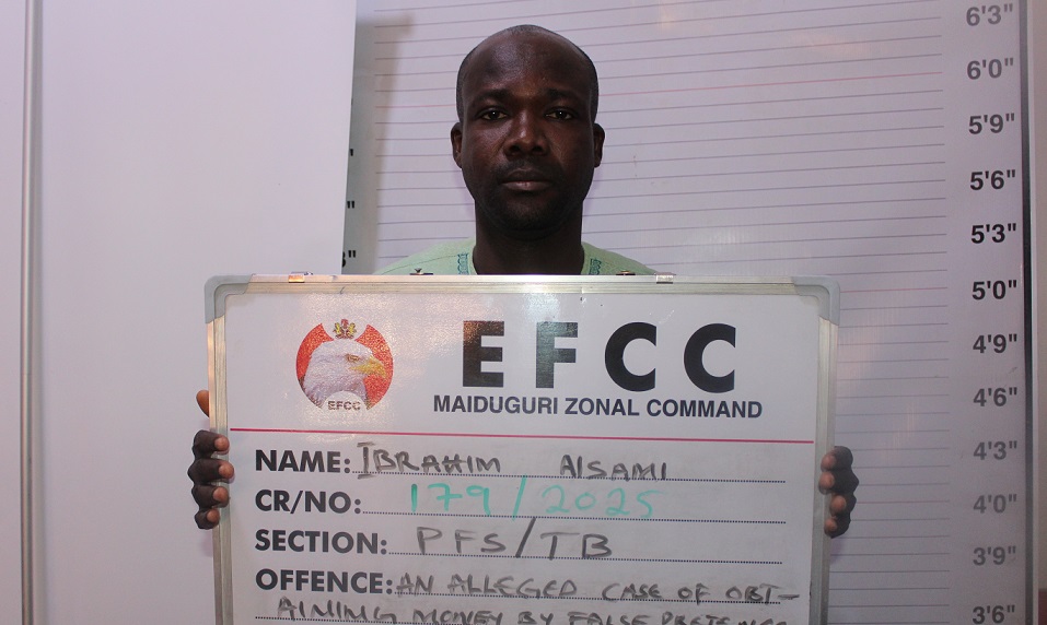 Court jails company CEO for N33.5m fraud in Maiduguri — Daily Nigerian