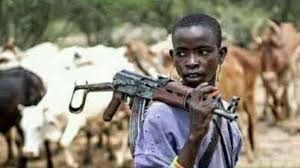 Killer herdsmen must leave Benue – Tor Tiv tells MACBAN