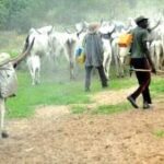 Newly-wed soldier, others killed as suspected herdsmen attack Benue community