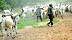 Newly-wed soldier, others killed as suspected herdsmen attack Benue community