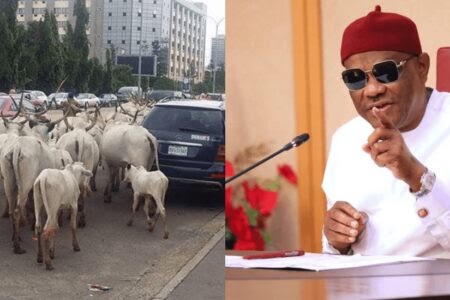 Open grazing in FCT: I’m threading cautiously, governance not easy – Wike