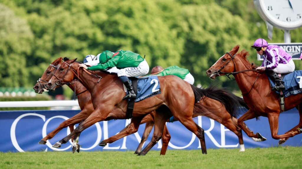 French 1000 Guineas: Zarigana keeps Classic title after Shes Perfect’s team fail in appeal against interference | Racing News