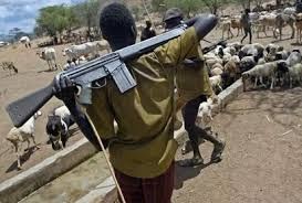 Catholic priest shot by suspected herdsmen in Benue