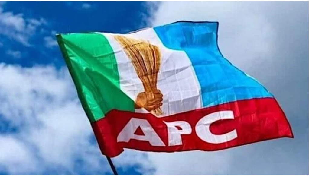 FULL LIST: Ogunlewe, Hamzat secure APC tickets for Lagos LG poll