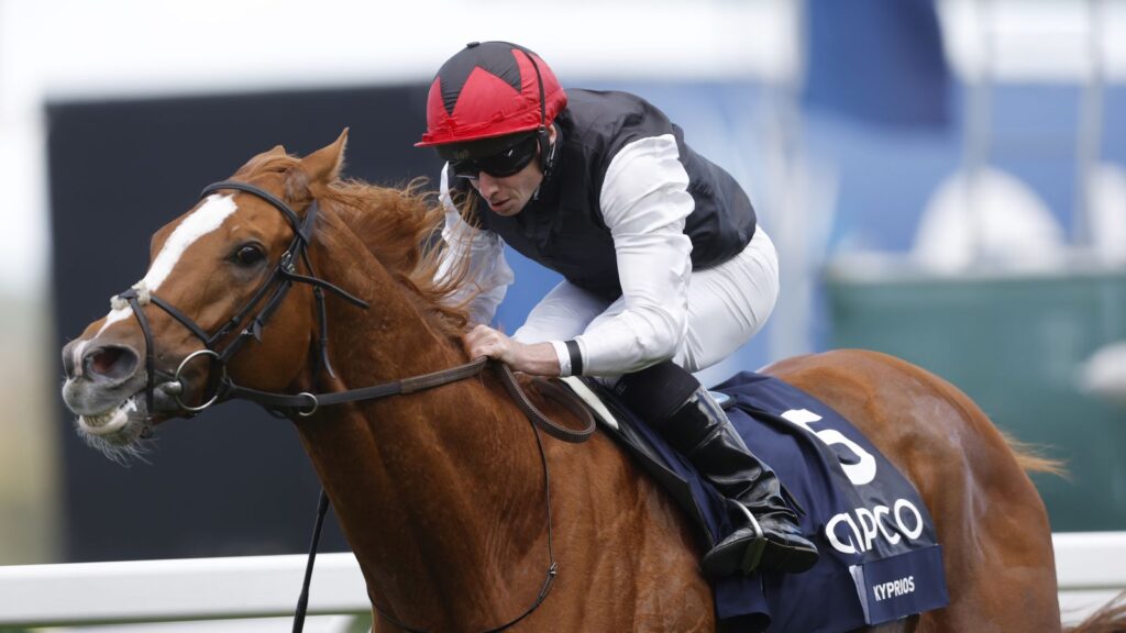 Kyprios retired: Aidan O’Brien calls time on dual Gold Cup hero’s career after aggravation of old injury | Racing News