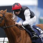 Kyprios retired: Aidan O’Brien calls time on dual Gold Cup hero’s career after aggravation of old injury | Racing News