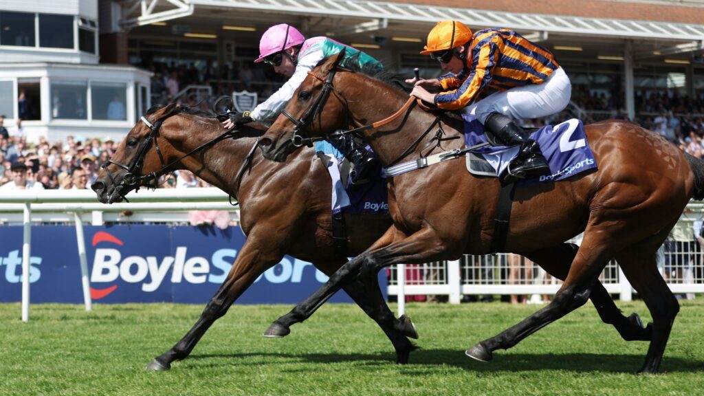 Lockinge Stakes: Lead Artist claims Group 1 prize for Oisin Murphy and Gosden team | Racing News