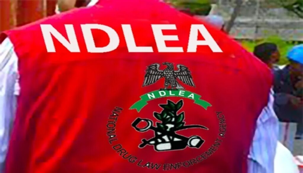 NDLEA arrests 80-year-old ex-convict, grandma, daughter; intercepts N3.2bn opioid