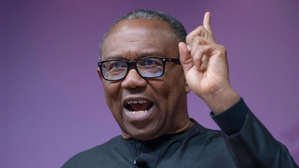 I never sought audience with Tinubu – Obi — Daily Nigerian