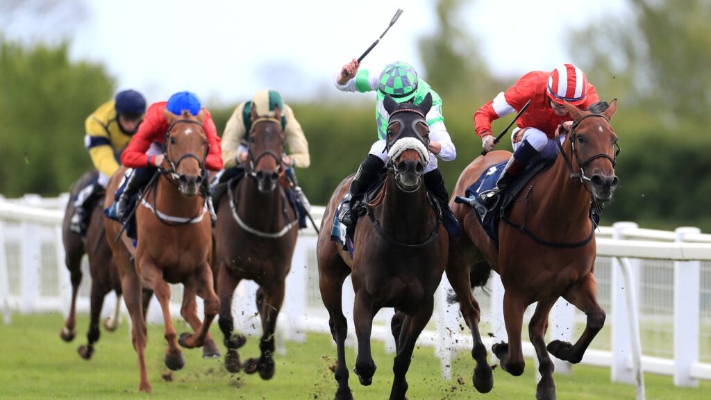 Today on Sky Sports Racing: Ripon, Yarmouth and Lingfield host competitive Flat cards | Racing News