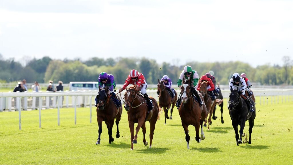 Today on Sky Sports Racing: Windsor and Bath host live action | Racing News