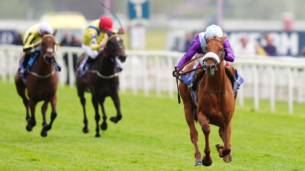 York: See The Fire dazzles as she wins Middleton Stakes by a dozen lengths under Oisin Murphy for Andrew Balding | Racing News