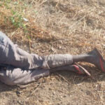 Troops Neutralise Suspected ISWAP Informant In Borno Ambush