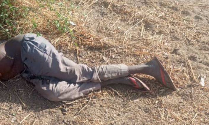 Troops Neutralise Suspected ISWAP Informant In Borno Ambush