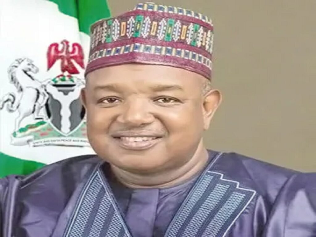 FG committed to collaborating with IOM on migration issues — Bagudu
